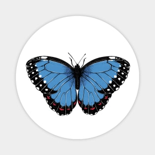 Blue morpho butterfly Magnet